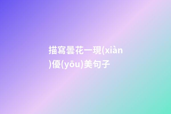 描寫曇花一現(xiàn)優(yōu)美句子