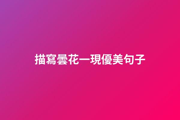 描寫曇花一現優美句子