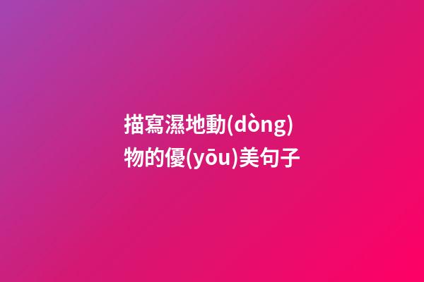 描寫濕地動(dòng)物的優(yōu)美句子