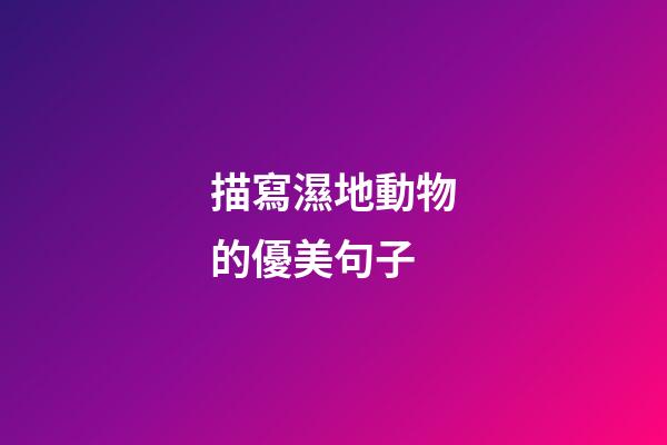 描寫濕地動物的優美句子