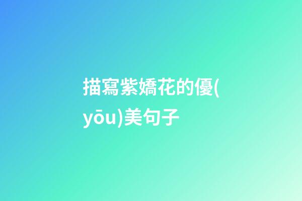 描寫紫嬌花的優(yōu)美句子
