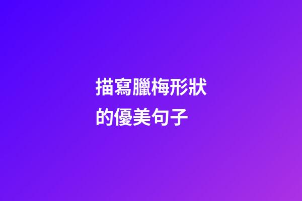 描寫臘梅形狀的優美句子