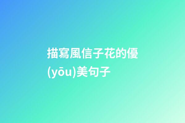描寫風信子花的優(yōu)美句子