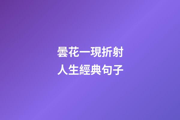 曇花一現折射人生經典句子