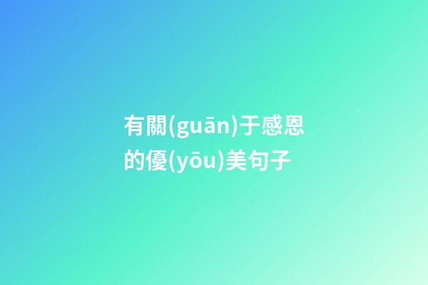有關(guān)于感恩的優(yōu)美句子