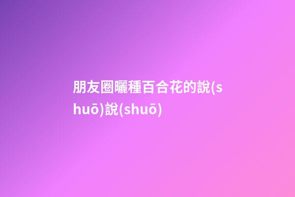 朋友圈曬種百合花的說(shuō)說(shuō)
