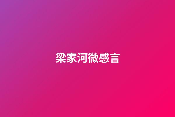 梁家河微感言