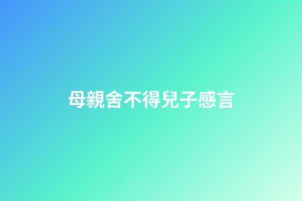 母親舍不得兒子感言