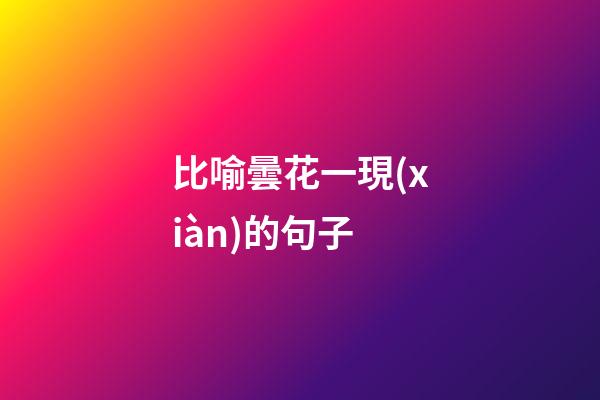 比喻曇花一現(xiàn)的句子