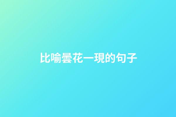 比喻曇花一現的句子