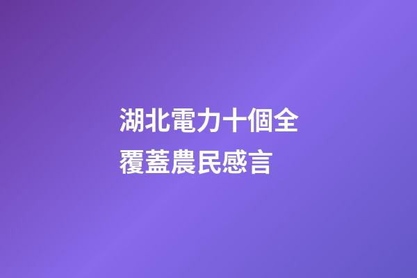湖北電力十個全覆蓋農民感言