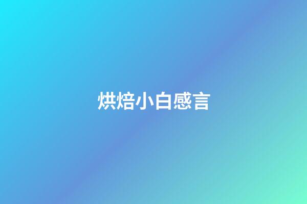 烘焙小白感言