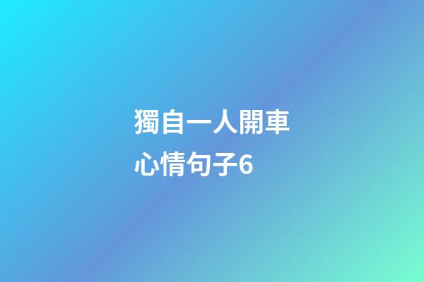 獨自一人開車心情句子6