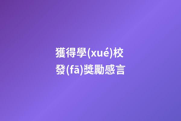 獲得學(xué)校發(fā)獎勵感言