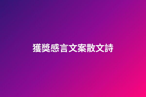 獲獎感言文案散文詩