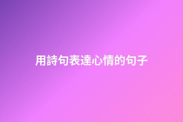 用詩句表達心情的句子
