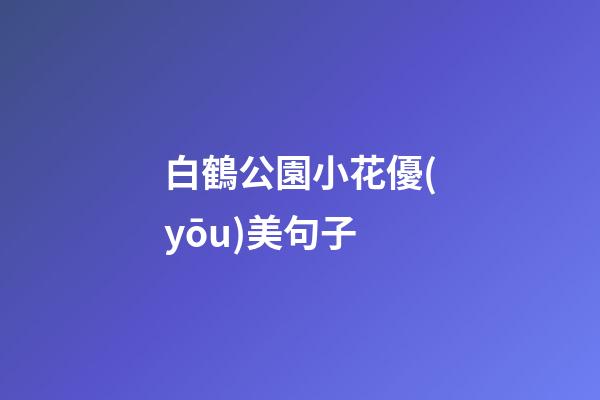 白鶴公園小花優(yōu)美句子