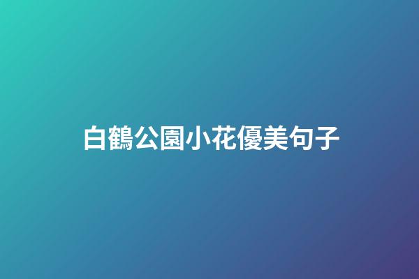 白鶴公園小花優美句子
