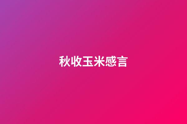 秋收玉米感言