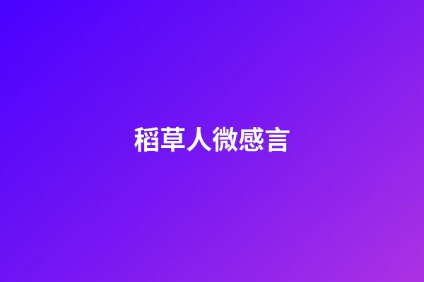 稻草人微感言