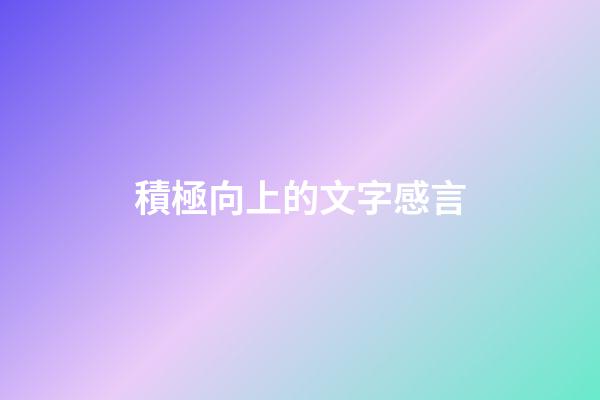 積極向上的文字感言