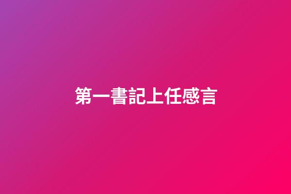 第一書記上任感言