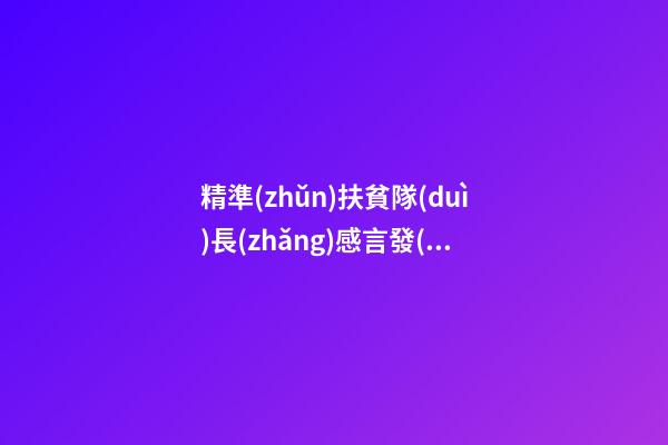 精準(zhǔn)扶貧隊(duì)長(zhǎng)感言發(fā)言