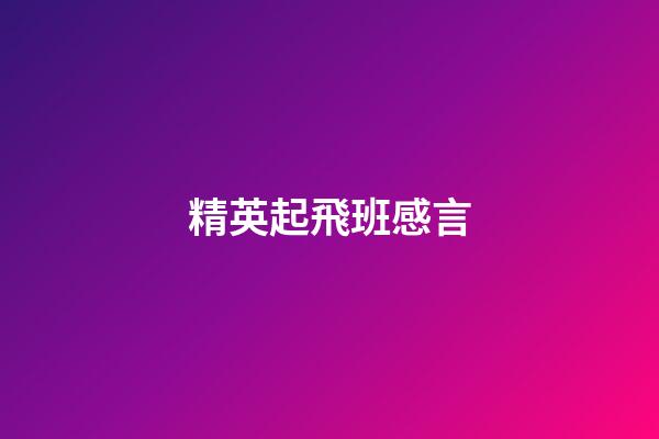 精英起飛班感言