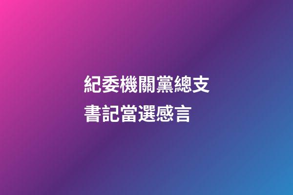 紀委機關黨總支書記當選感言