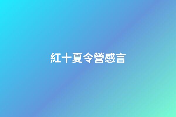 紅十夏令營感言