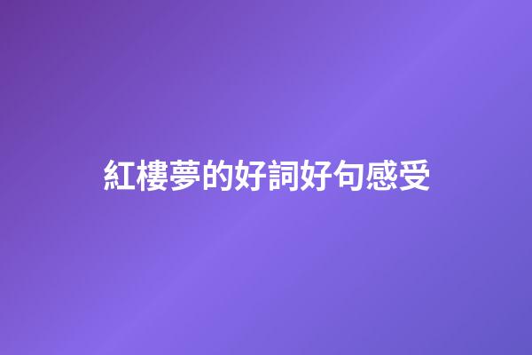 紅樓夢的好詞好句感受