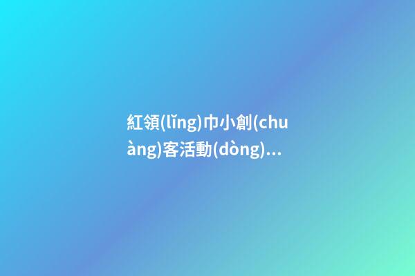 紅領(lǐng)巾小創(chuàng)客活動(dòng)感言