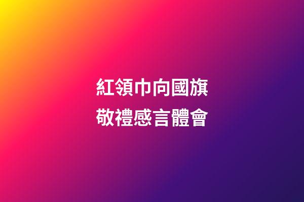 紅領巾向國旗敬禮感言體會