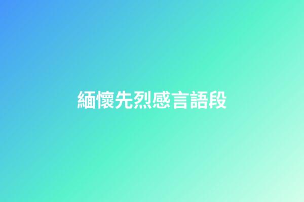 緬懷先烈感言語段