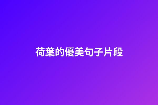 荷葉的優美句子片段