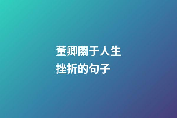 董卿關于人生挫折的句子
