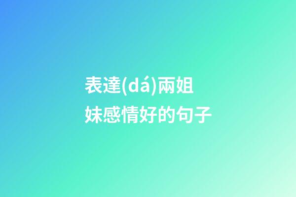 表達(dá)兩姐妹感情好的句子