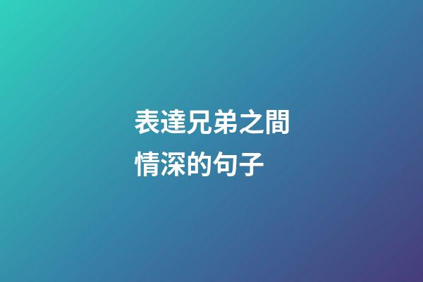 表達兄弟之間情深的句子