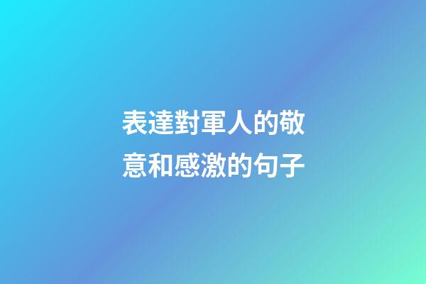 表達對軍人的敬意和感激的句子