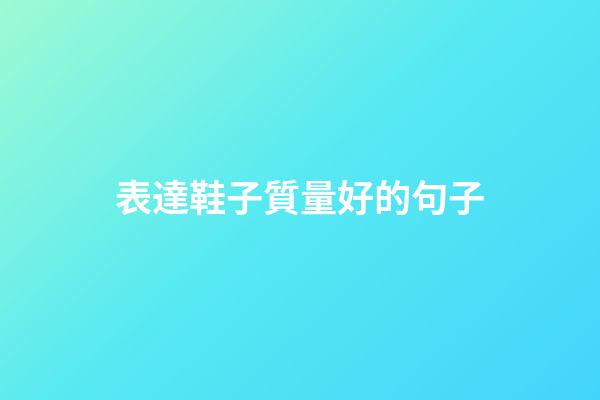 表達鞋子質量好的句子