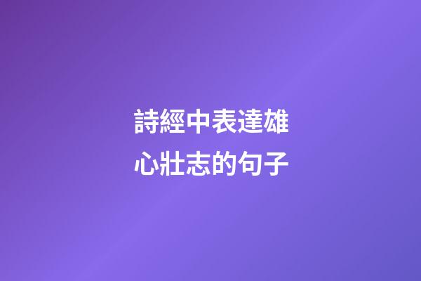詩經中表達雄心壯志的句子