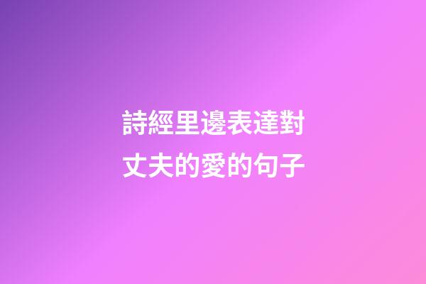 詩經里邊表達對丈夫的愛的句子