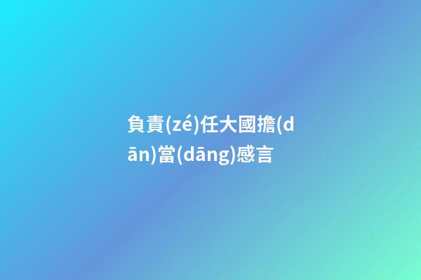 負責(zé)任大國擔(dān)當(dāng)感言