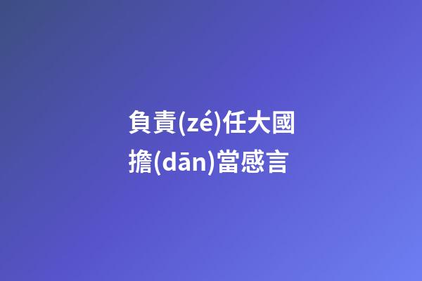 負責(zé)任大國擔(dān)當感言