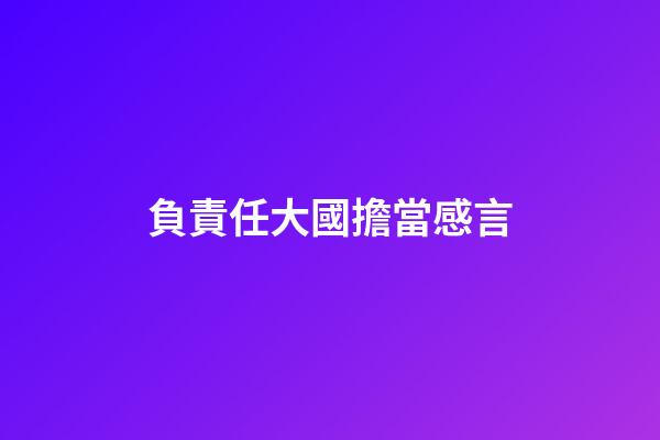 負責任大國擔當感言