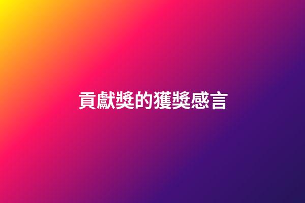 貢獻獎的獲獎感言