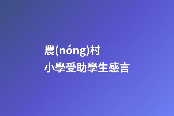 農(nóng)村小學受助學生感言