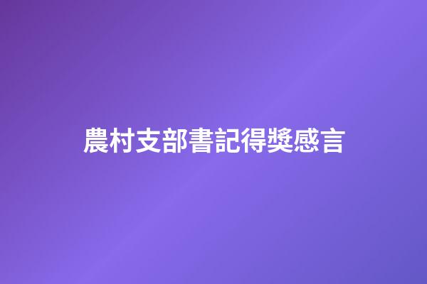 農村支部書記得獎感言