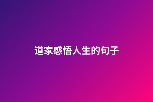 道家感悟人生的句子