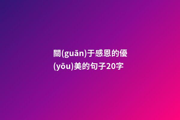關(guān)于感恩的優(yōu)美的句子20字